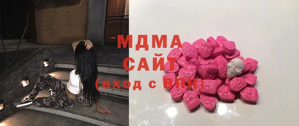 хмурый Абаза