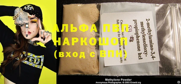 дживик Арсеньев