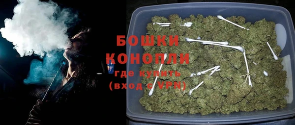 хмурый Абаза