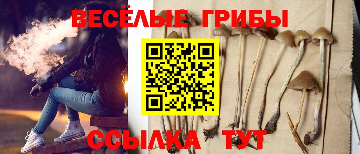 Галлюциногенные грибы ЛСД Ковров