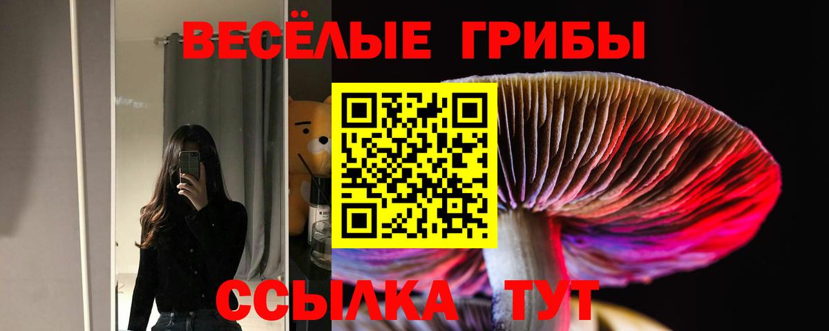 Псилоцибиновые грибы Psilocybine cubensis  Вход с VPN  Псилоцибиновые грибы Psilocybine cubensis  Ковров 